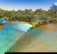 Reflections Boambee Creek Reserve - Stays Accommodation