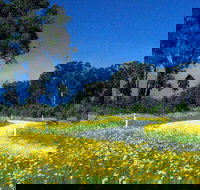 Shearer's Way - Stayed