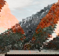 Simpsons Gap - Stayed