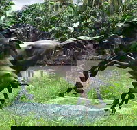 Summerland Antiques and Garden Centre - Stayed