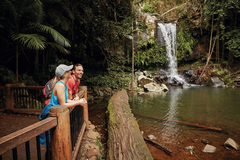 Tamborine National Park - Stayed 1