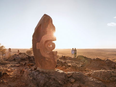 The Living Desert And Sculptures - Stayed 0