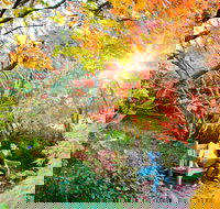 The Blue Mountains Botanic Garden Mount Tomah - Stayed