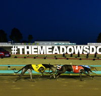 The Meadows - Stayed
