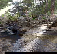 Threlfall Walking Track - Stayed