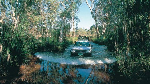 Tjaynera Falls (Sandy Creek) - Stayed 1