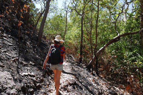 Tjaynera Falls (Sandy Creek) - Stayed 2