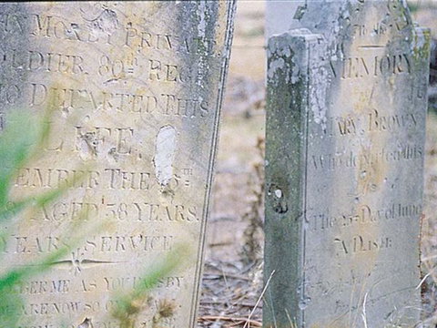 Towrang Stockade - Stayed 1