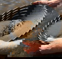 Tuena Panning for Gold - Stayed