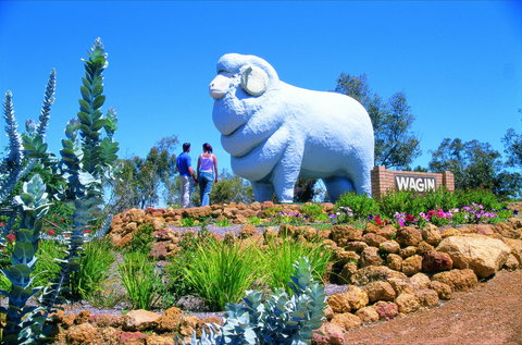Wagin - Stays Accommodation 0