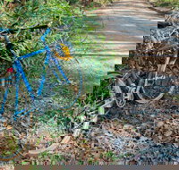 Walter Hood ride from Cudmirrah - Stayed