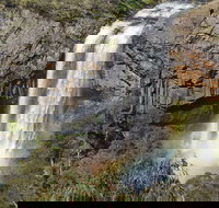 Waterfall Way Scenic Drive - Stayed