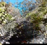 Waterfall Walk Kanangra-Boyd National Park - Stayed