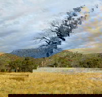Weddin Mountains National Park - Stayed