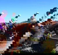 Western Plains Riding Centre - Open - Stayed