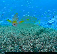 Wreck Bay Dive Site - Stays Accommodation