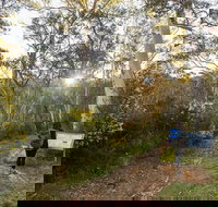 Yarrangobilly Caves  River walk - Stayed