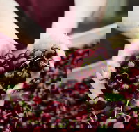 Yarra Valley Cherries - Stayed