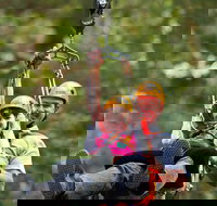 Zipline at Illawarra Fly - Stayed