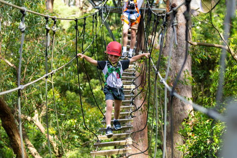 Zipline At Illawarra Fly - Stayed 1