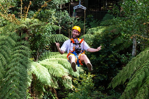 Zipline At Illawarra Fly - Stayed 2