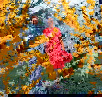 A Changing Australia The Time of Gough Whitlam - Stayed