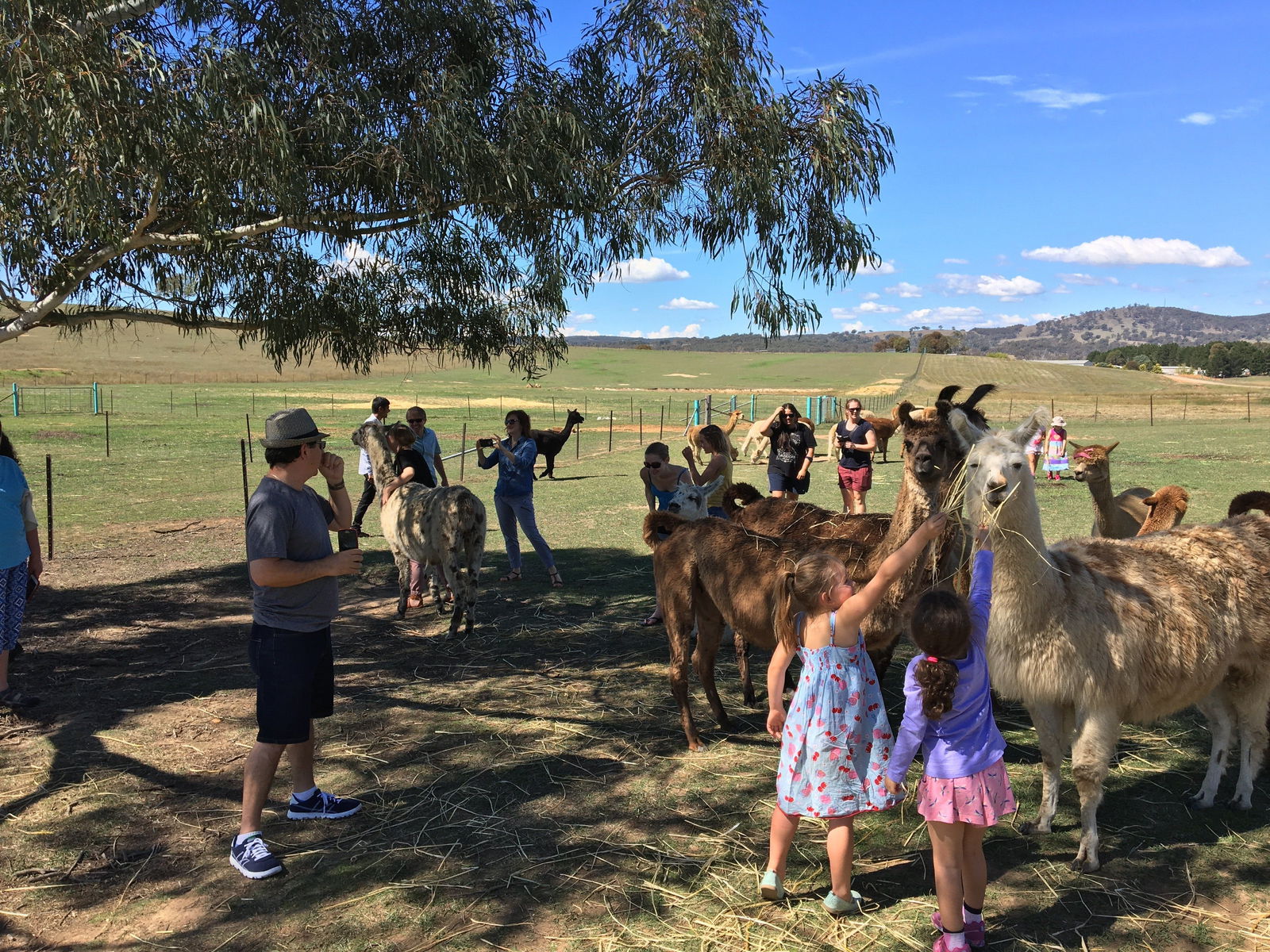 Googong NSW Stayed