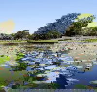 Anderson Park Botanic Gardens - Stayed