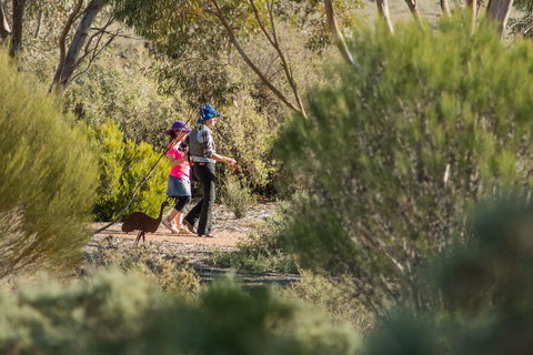 Australian Arid Lands Botanic Garden - Stayed 0