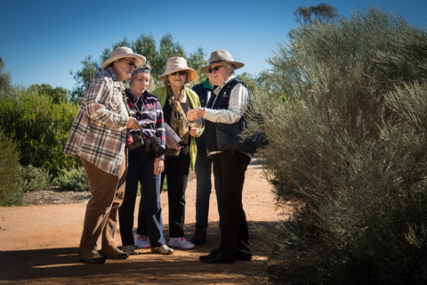 Australian Arid Lands Botanic Garden - Stayed 2