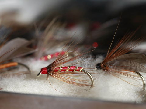 Australian Fly Fishing Museum - Stayed 0