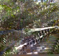 Awaba Bay Foreshore Walk - Stayed