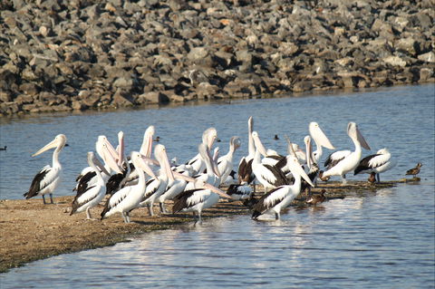 Bjelke-Petersen Dam - Stayed 2