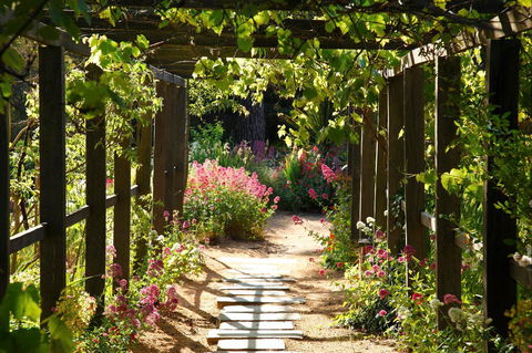 Buda Historic Home & Garden - Stayed 2