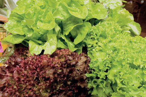 Bundaberg To Childers And Woodgate Day Trip - Stayed 1