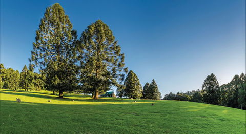 Bunya Mountains National Park - Stayed 0