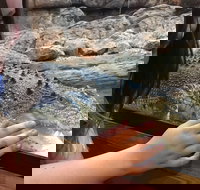 Canberra Reptile Zoo - Stayed