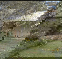 Castlemaine Diggings National Heritage Park - Stayed