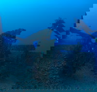 Cementco Dive Site - Stayed