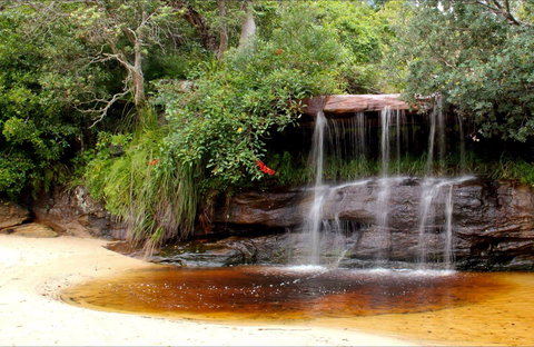 Collins Flat Beach - Stayed 0