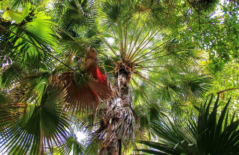 Depot Beach Rainforest Walk - Stayed 0