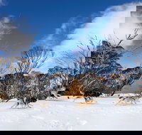 Dinner Plain - Stayed