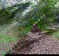 Double Wharf Trail - Stayed