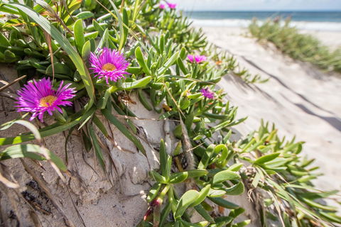 Fort Bribie - Stays Accommodation 0