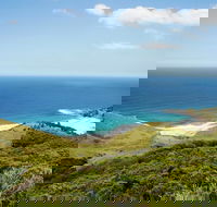 Governor Game Lookout - Stayed