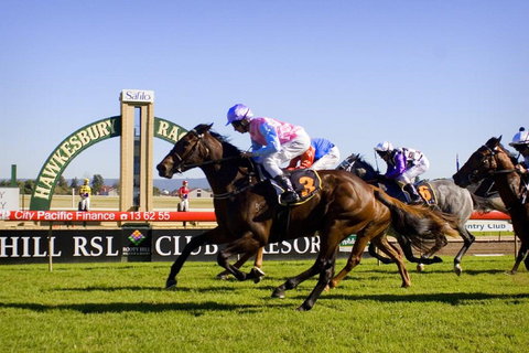 Hawkesbury Race Club - Stayed 0