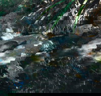 Howard Springs Nature Park - Stayed