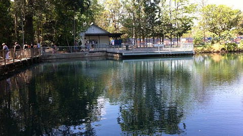 Howard Springs Nature Park - Stayed 1