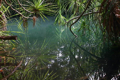 Howard Springs Nature Park - Stayed 2