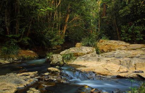 Jumrum Creek Walk, Jumrum Creek Conservation Park - Stayed 0